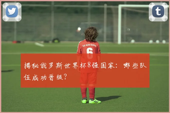 揭秘俄罗斯世界杯8强国家:哪些队伍成功晋级?