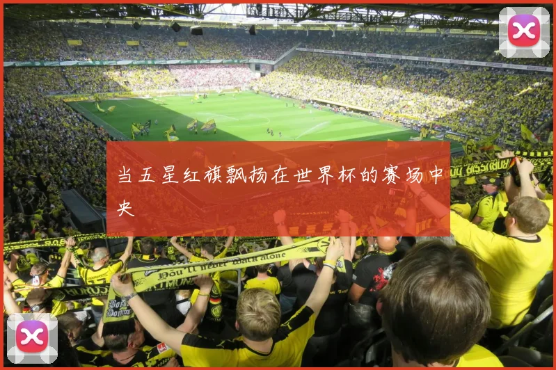当五星红旗飘扬在世界杯的赛场中央