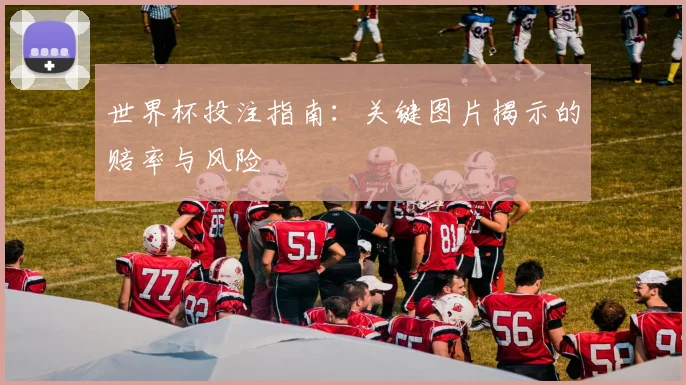世界杯投注指南：关键图片揭示的赔率与风险