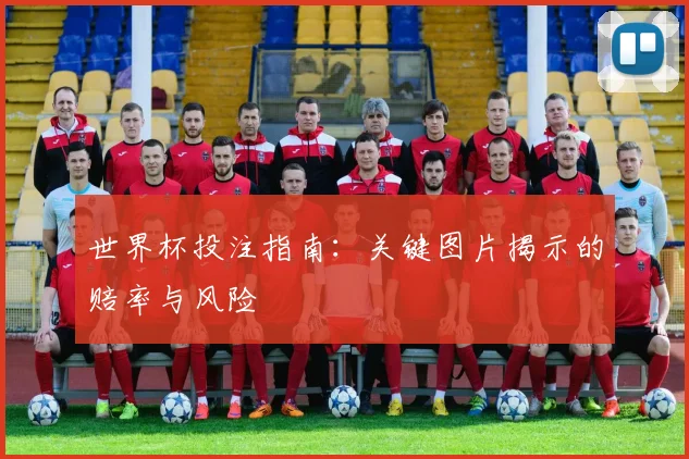 世界杯投注指南：关键图片揭示的赔率与风险