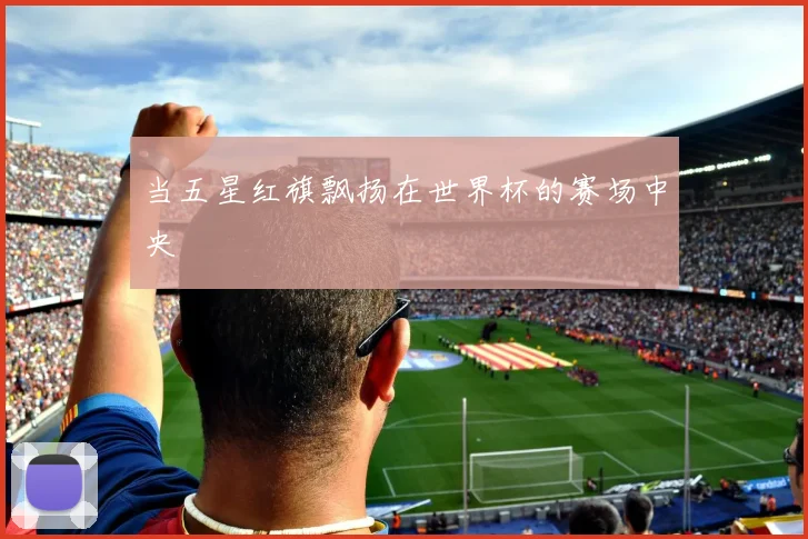 当五星红旗飘扬在世界杯的赛场中央
