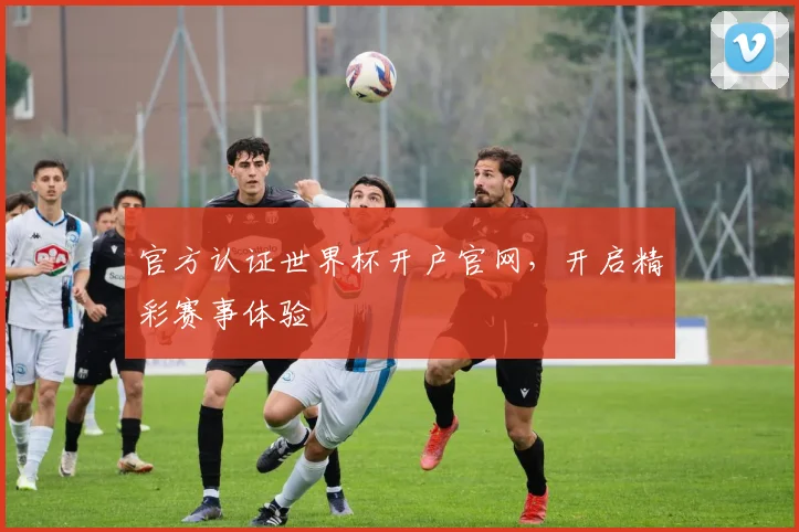官方认证世界杯开户官网,开启精彩赛事体验