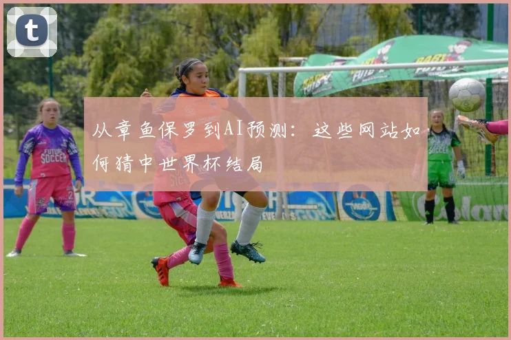从章鱼保罗到AI预测：这些网站如何猜中世界杯结局