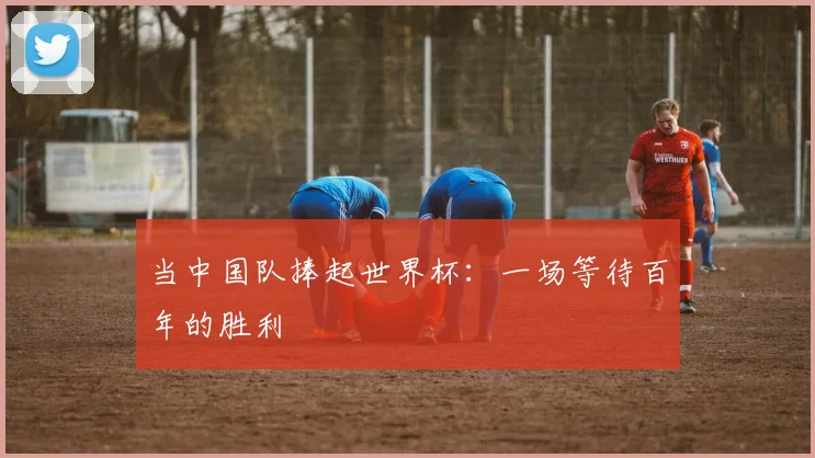 当中国队捧起世界杯：一场等待百年的胜利