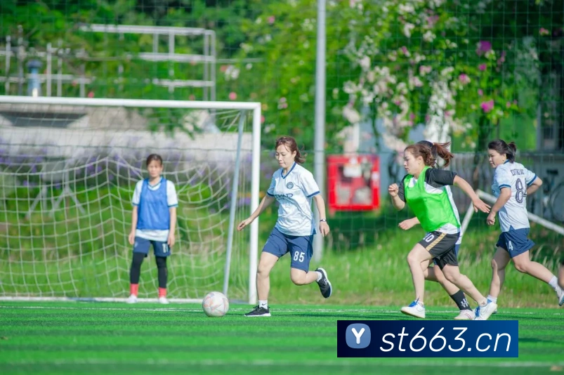 App Interface Preview